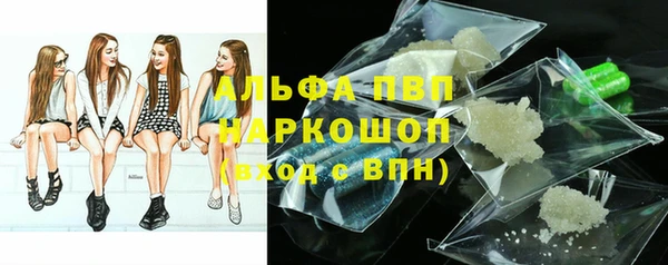 мдпв Вяземский