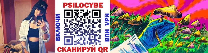 купить наркотик  omg ссылка  Псилоцибиновые грибы мицелий  Сусуман 